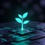 إدارة الحملات الإعلانية